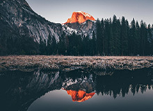 樊振东德甲联赛首秀失利